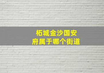 柘城金沙国安府属于哪个街道